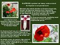 WO 1-maand.5-5-2014 (191)----